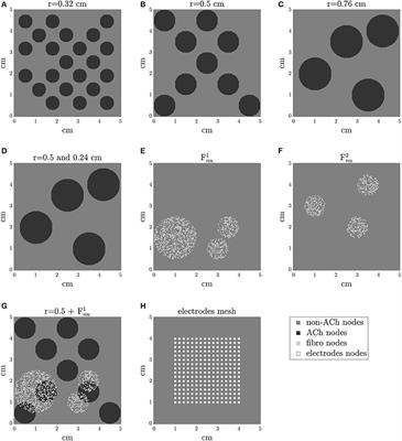 Location of Parasympathetic Innervation Regions From Electrograms to Guide Atrial Fibrillation Ablation Therapy: An in silico Modeling Study